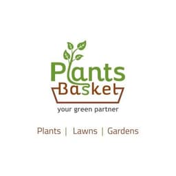 Plantsbasket Sheela