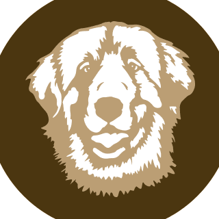 Roosevelt Vet color logo