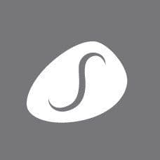 Simpson Travel color logo