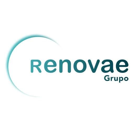Grupo Renovae color logo
