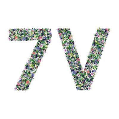 The 7 Virtues color logo