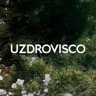Uzdrovisco color logo