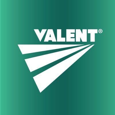 Valent USA color logo