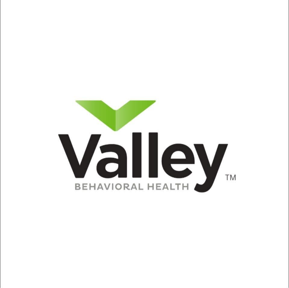 Valley Behavioral Health color logo