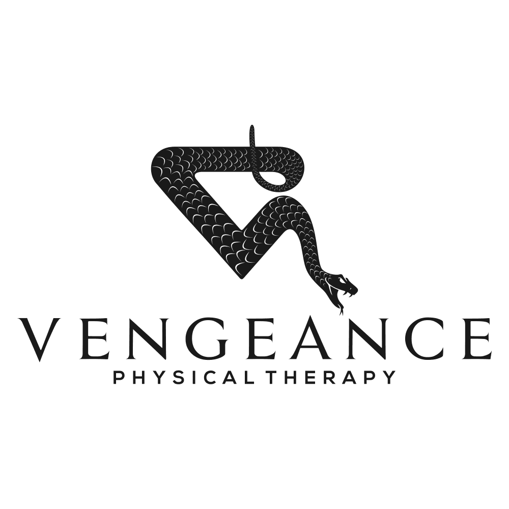 Vengeance Physical Therapy color logo