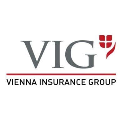 VIG color logo