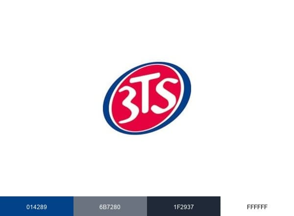 3TS Capital brand color palette