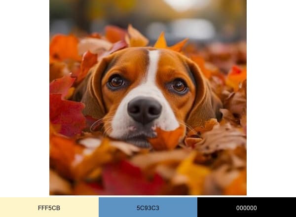 Agua Fria Animal Hospital brand color palette