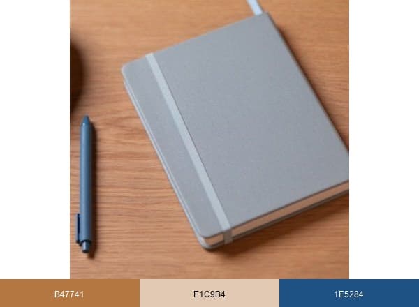 Anecdote Goods brand color palette