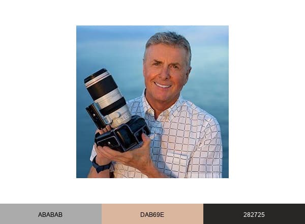 Art Wolfe brand color palette