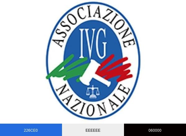 AssociazioneNazionaleIVG brand color palette