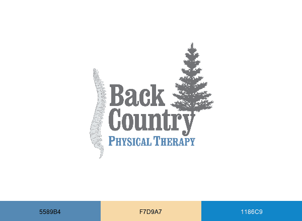 Back Country PT brand color palette
