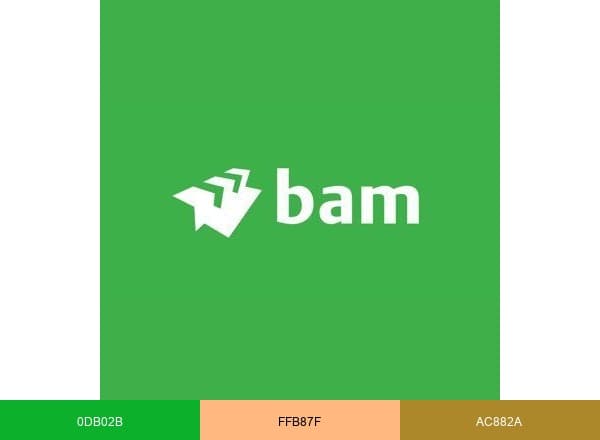 Kon. BAM Groep nv brand color palette