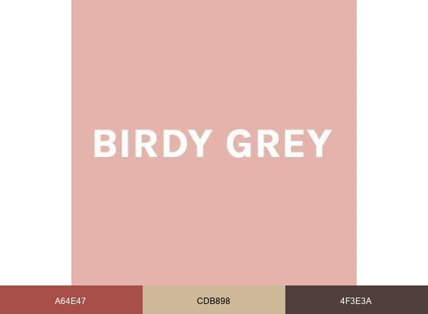 Birdy Grey brand color palette