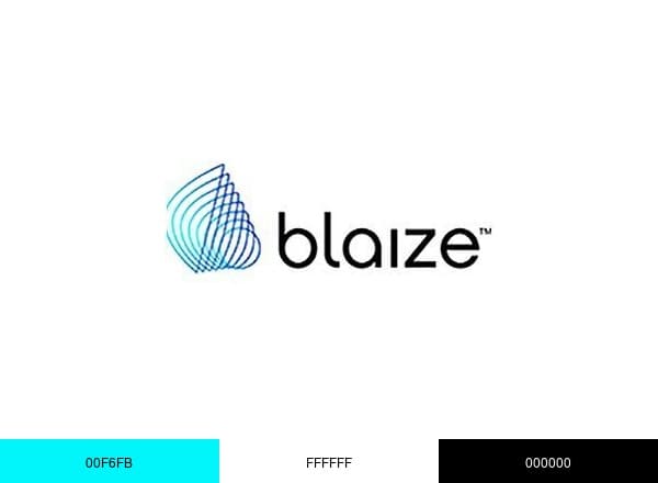 Blaize brand color palette