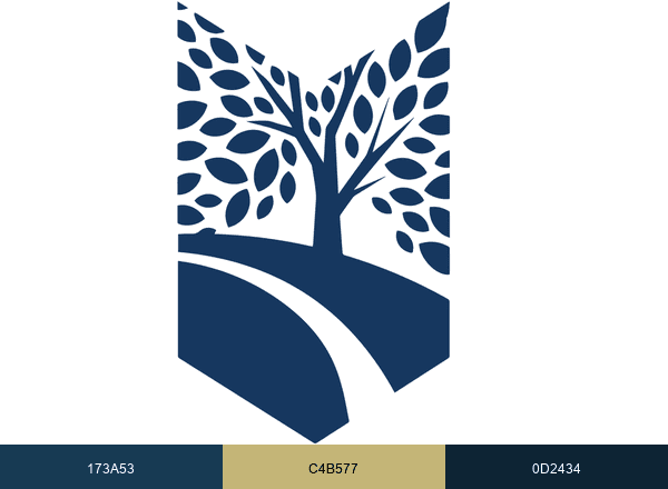 Blue Ribbon Outdoor brand color palette