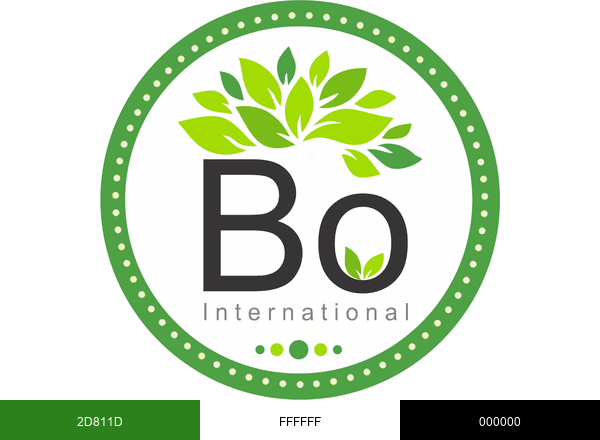 Bo International brand color palette