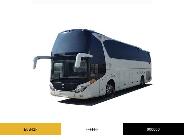ROYAL RIDER BUS RENTAL DUBAI brand color palette