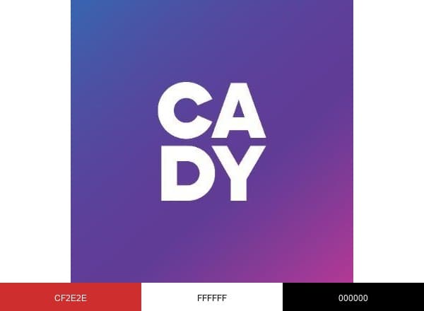 CADY brand color palette