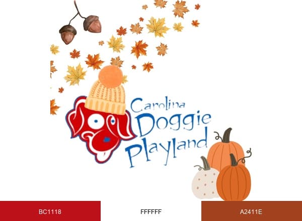 to Carolina Doggie Playland brand color palette