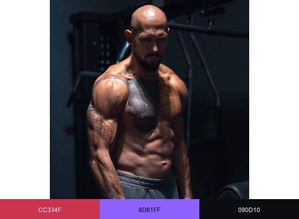Andrew Tate brand color palette