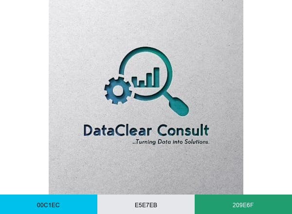 DataClear Consult brand color palette