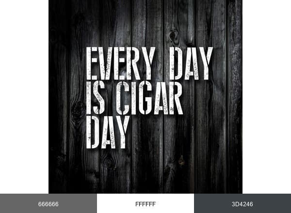 Every day is cigar day brand color palette