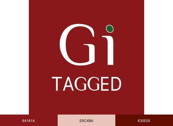 GiTAGGED brand color palette