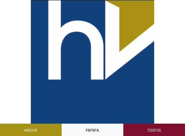 Hook Vets brand color palette