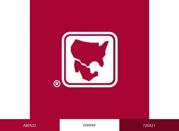 IBC Bank brand color palette