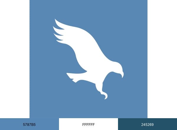 Improve International brand color palette