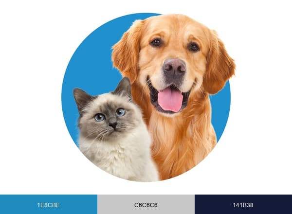 Innovetive Petcare brand color palette