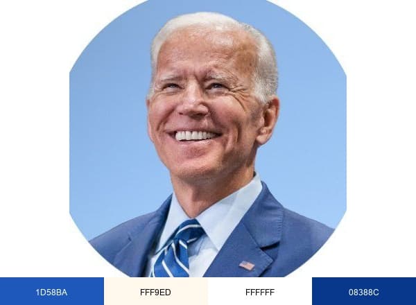 Joe Biden brand color palette