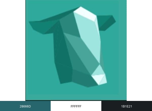 Lasso brand color palette