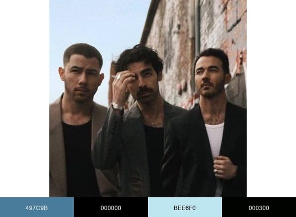 Jonas Brothers brand color palette
