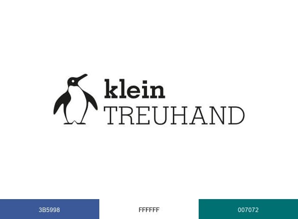 klein TREUHAND AG brand color palette