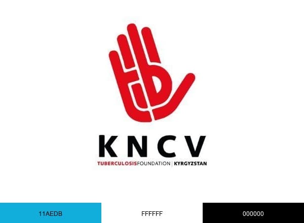 KNCV Kyrgyzstan brand color palette