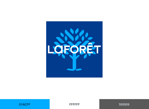 Laforêt France brand color palette