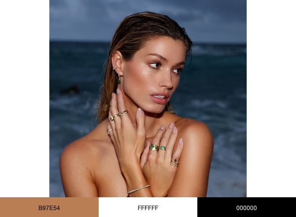 Logan Hollowell brand color palette