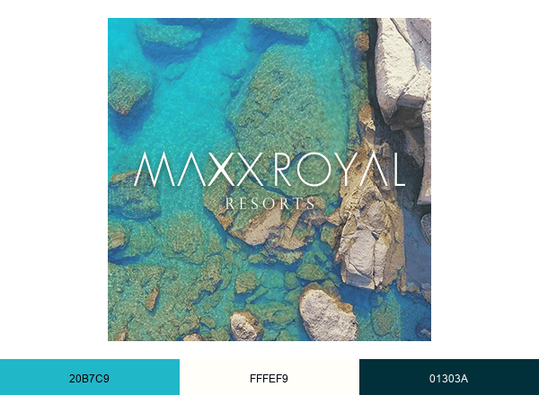 Maxx Royal brand color palette