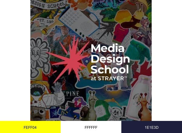 Media Design School at Strayer brand color palette