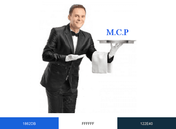 MON CHAUFFEUR PRIVE brand color palette