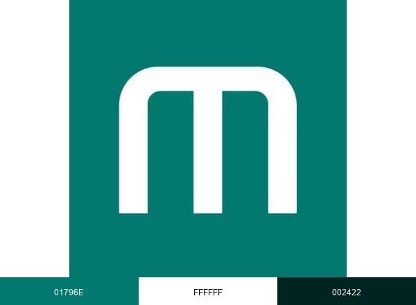 Montel News brand color palette