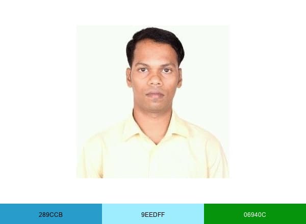 Mangesh Dhulap brand color palette