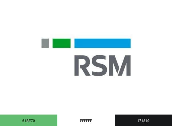 RSM CZ & SK brand color palette