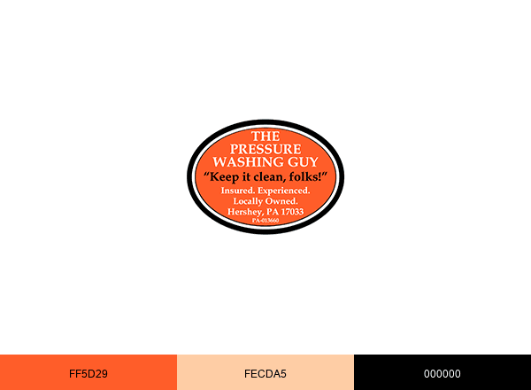 The Pressure Washing Guy brand color palette