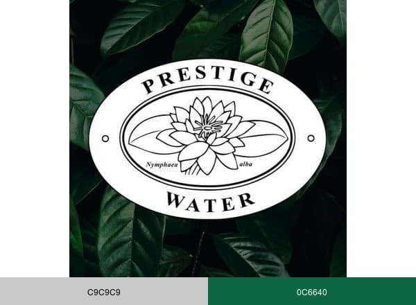 Prestige Water Nederland brand color palette