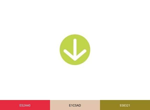Relais Colis brand color palette