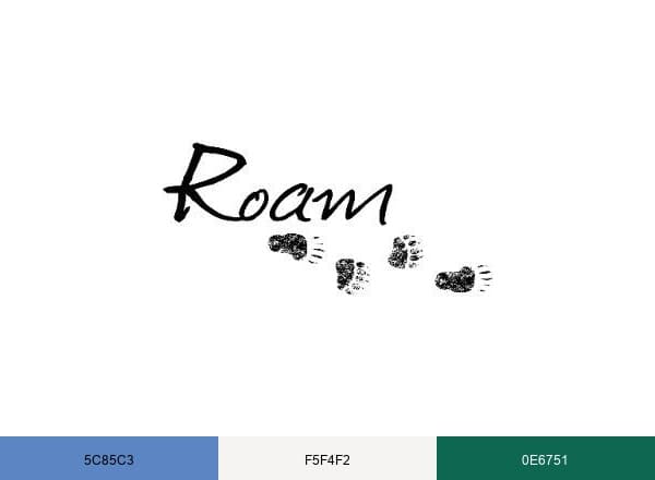 Roam Public Transit brand color palette