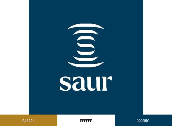 Saur brand color palette